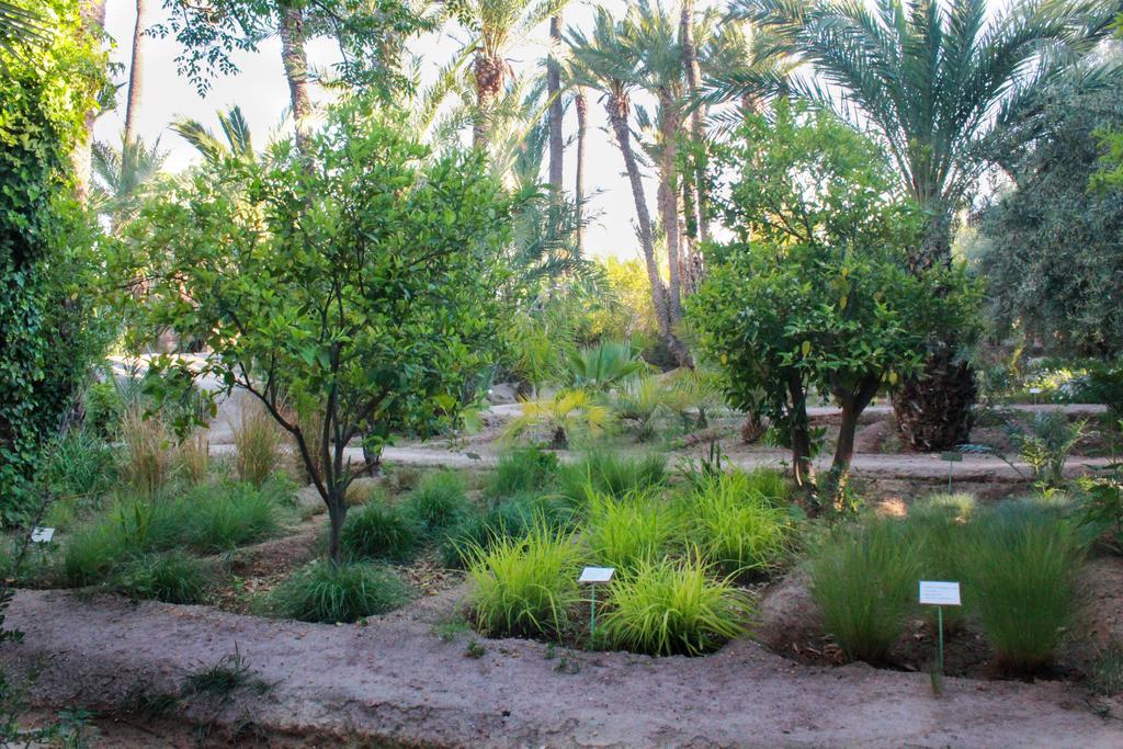 Jnane Tamsna Hotel Marrakesh Eksteriør billede