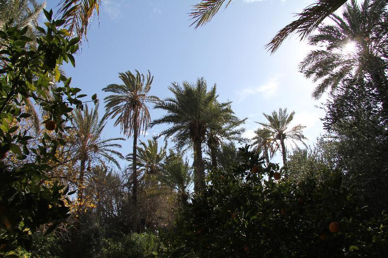 Jnane Tamsna Hotel Marrakesh Eksteriør billede