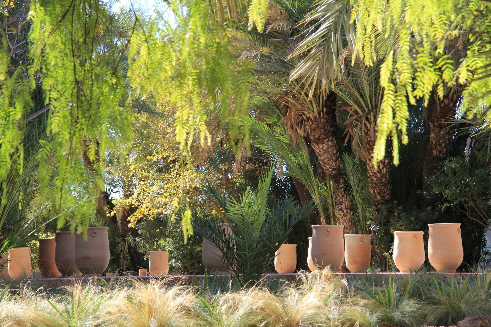 Jnane Tamsna Hotel Marrakesh Eksteriør billede