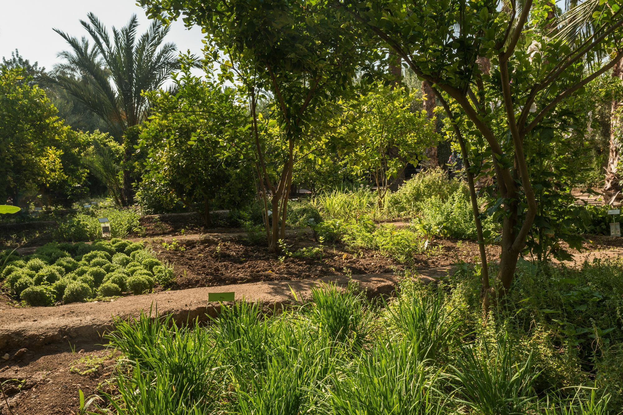 Jnane Tamsna Hotel Marrakesh Eksteriør billede