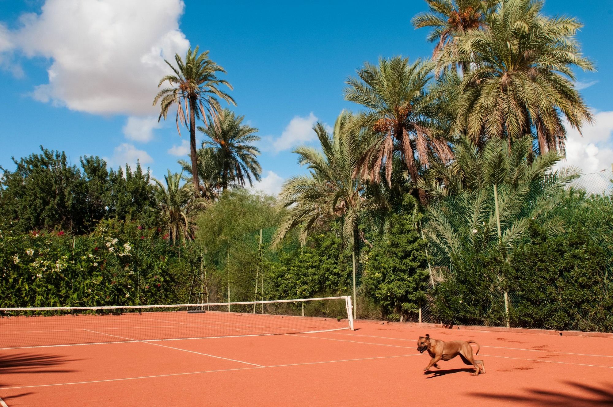 Jnane Tamsna Hotel Marrakesh Eksteriør billede